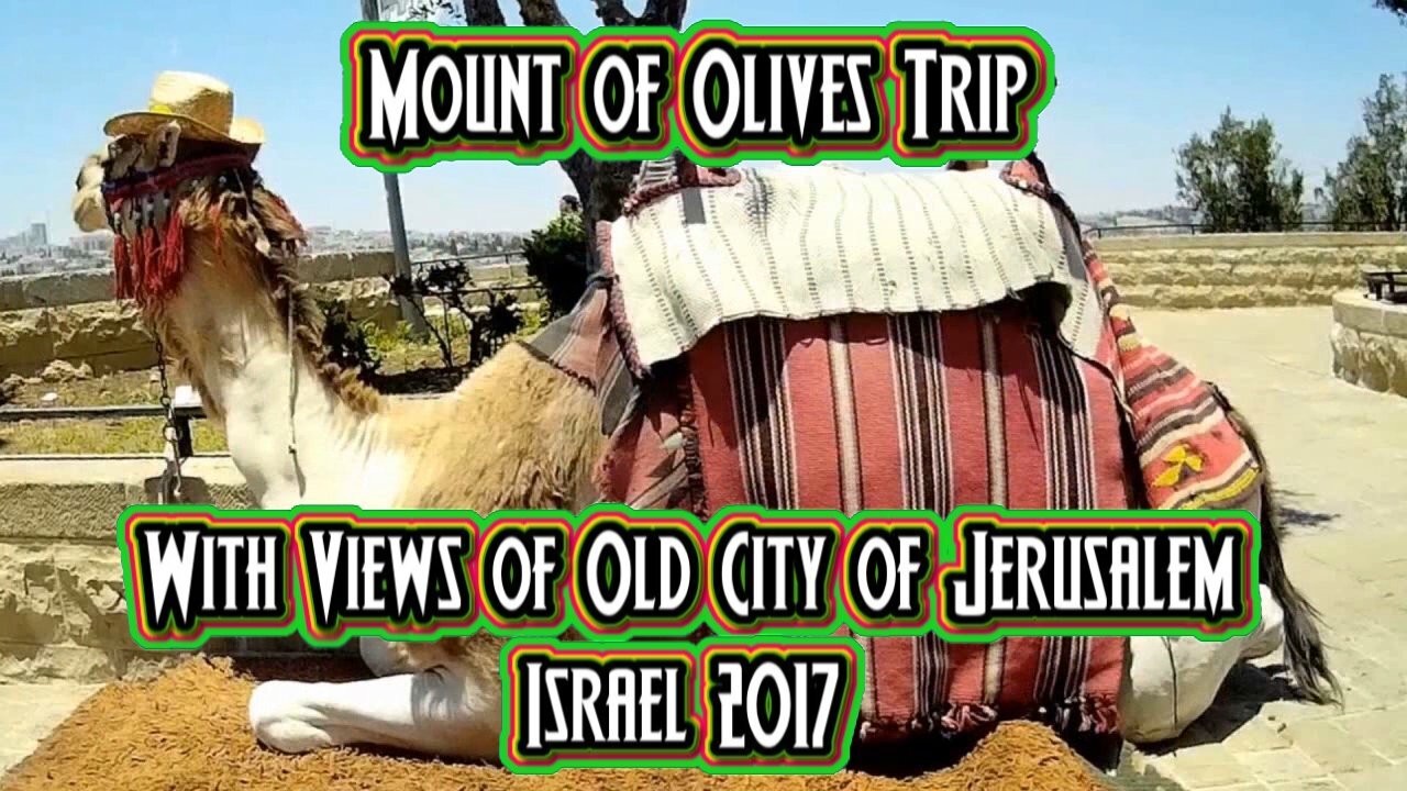 Mount of Olives Trip With Views of Old City of Jerusalem - Israel 2017