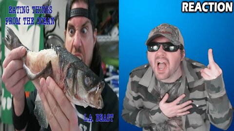 Eating Things From The Ocean Gauntlet Challenge (Warning: Dumb) - L.A. BEAST REACTION!!! (BBT)