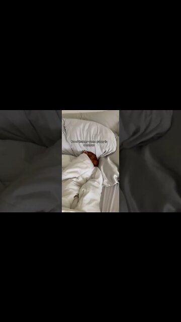 Proof That My Puppy Is Human