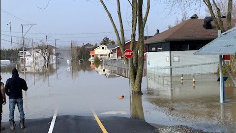 Inondation Scott 2019