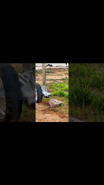 #shorts #2022 funny,prank,funjokes,dad jokes,funny memes,funny video,fun,laughing,funny animal,knock