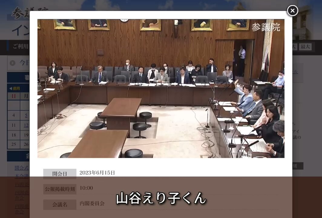 山谷えり子議員＆滝本太郎弁護士:参議院委員会質疑応答