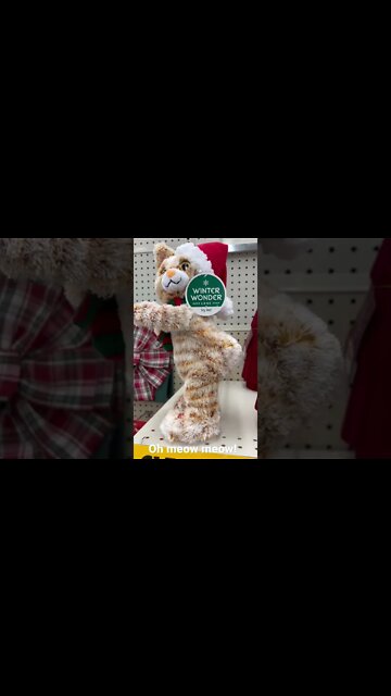 $100 says you will LOL at this!!!