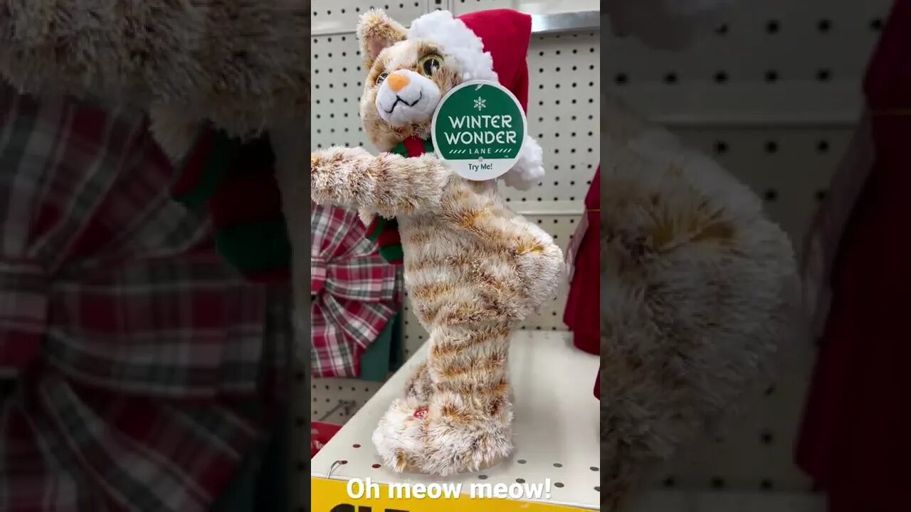 $100 says you will LOL at this!!!