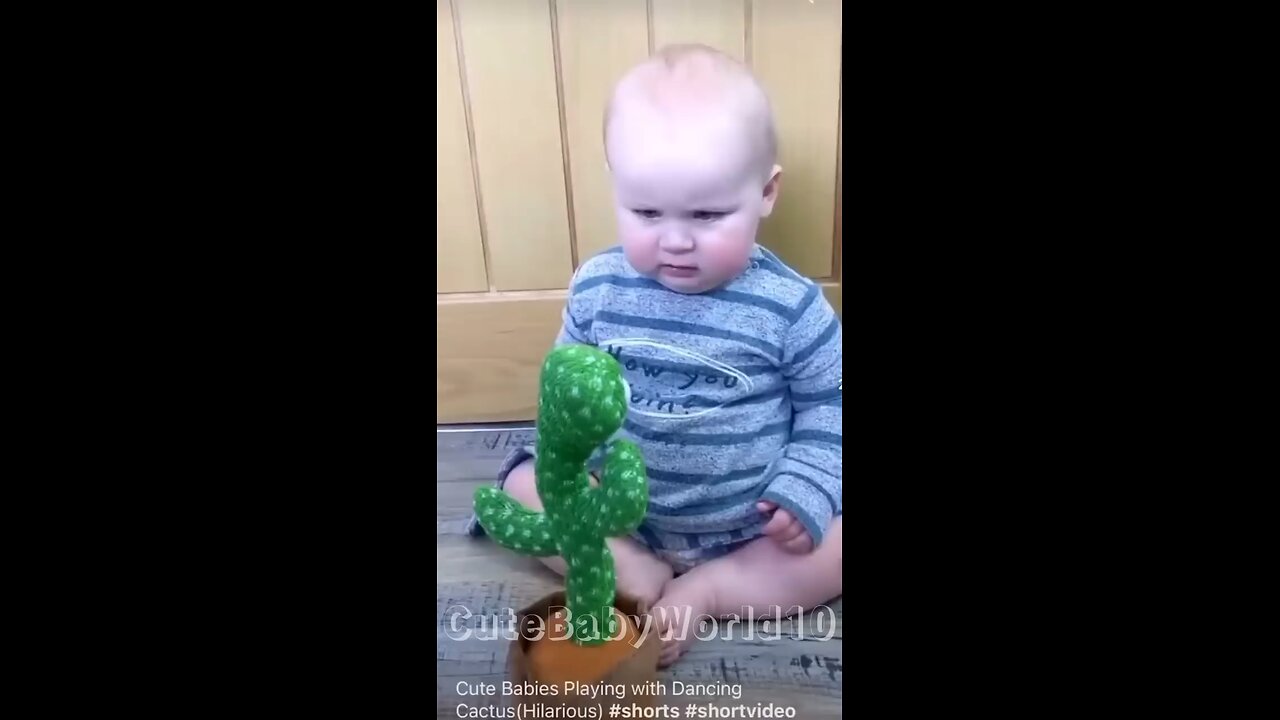 cute baby playing with cactus🌵😅