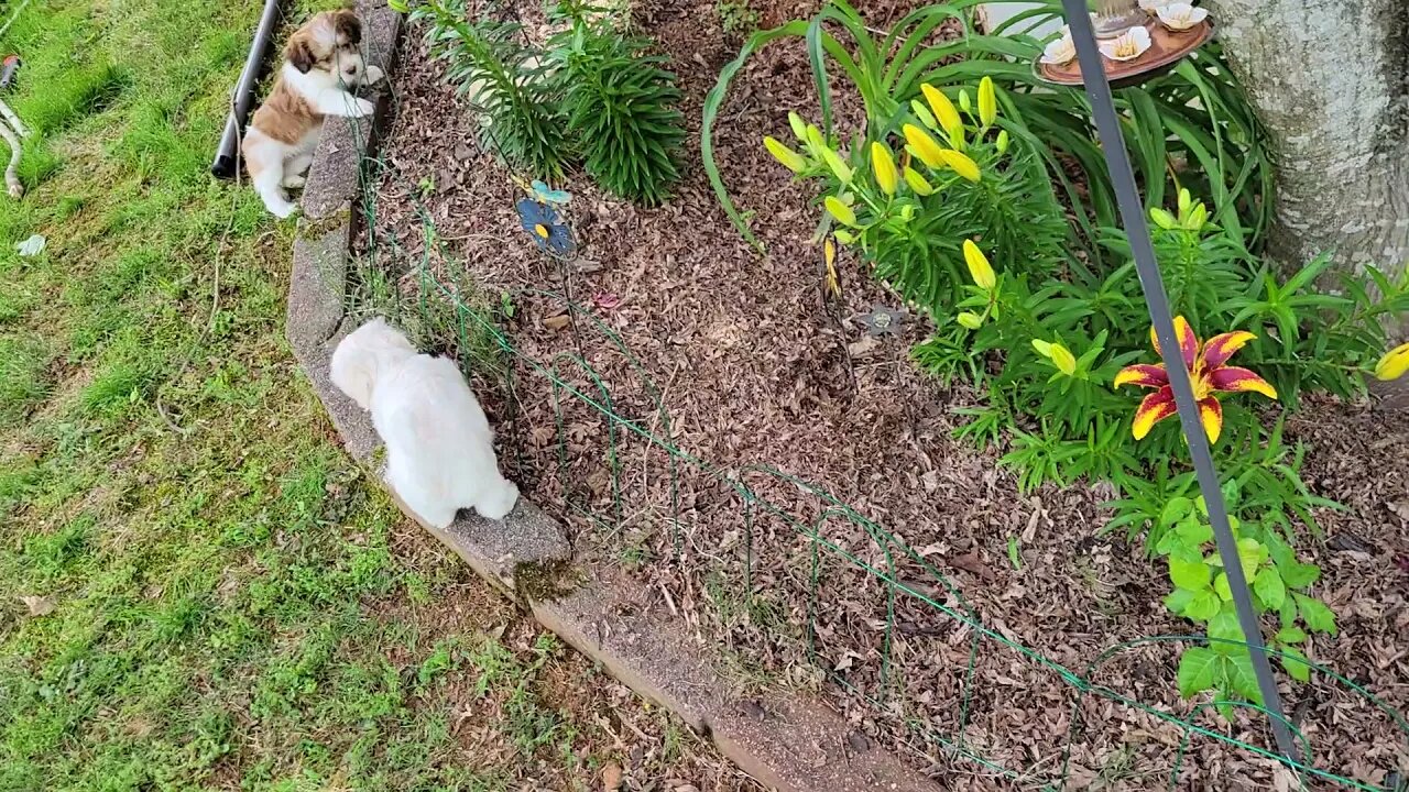 & Then There Were 7 🥲(4)