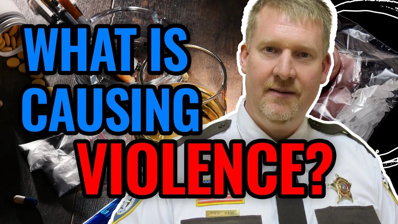 WHAT is Causing Violent Acts? Forces that Cops See Causing Violence Sheriff Waak Interview