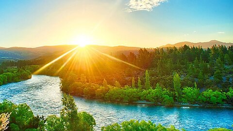 -free nature background video