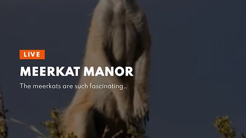 Meerkat Manor