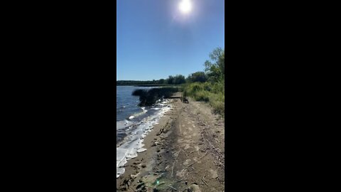 Great day for canoe ride