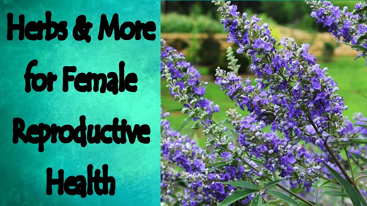 Herbs and More for Female Reproductive Health