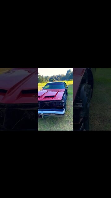 Not all dirty girls are the same.