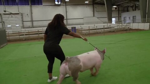 Thursday at the Erie County Fair - Part 5