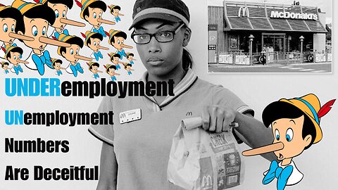 A Look At UNDERemployment | UNemployment Numbers Are Deceitful