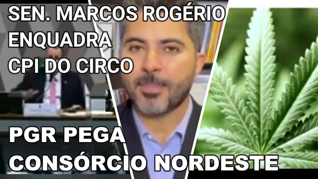 ENFIM A PGR ENQUADRA O CONSORCIO NORDESTE, NA CPI RN.