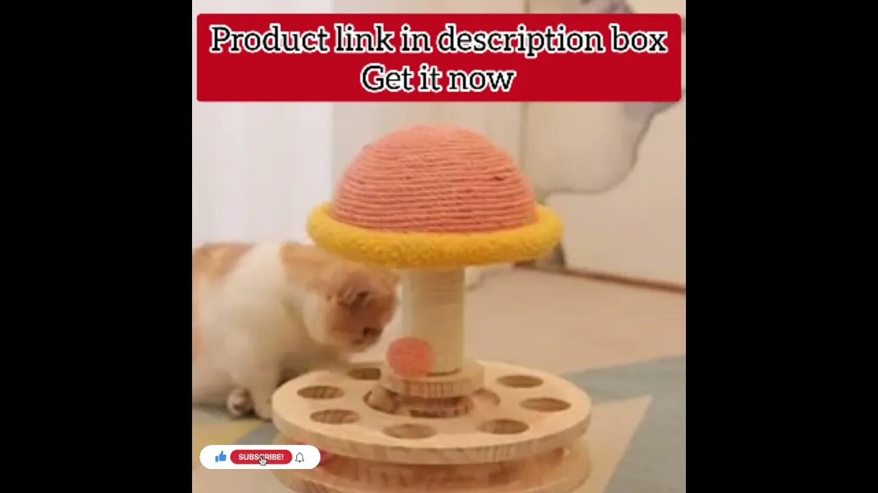 cute cat videos 😹 funny videos 😂222