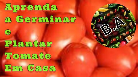 NÃO PLANTE TOMATES ATÉ VER ESSE VÍDEO! ! !