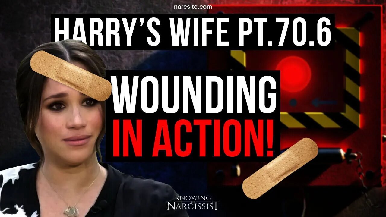 Harry's Wife Part 70.6 : Wounding In Action