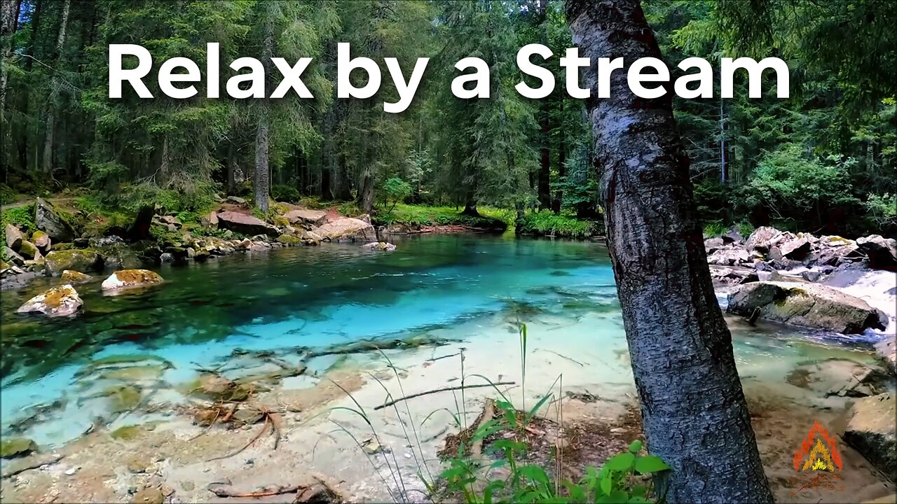 Relax by a Stream / ASMR / Nature Sounds / Calming