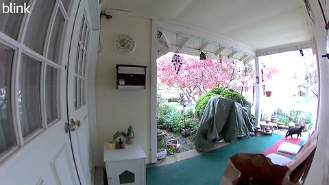 NORTH_VIDEO_DOOR_BELL_2023-04-08T13_26_54-0400.mp4