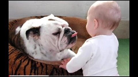 Best Bulldog and Baby Video Compilation heart touching video NEW HD