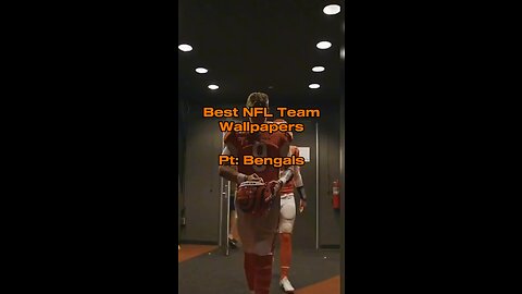 Best Bengals Wallpapers