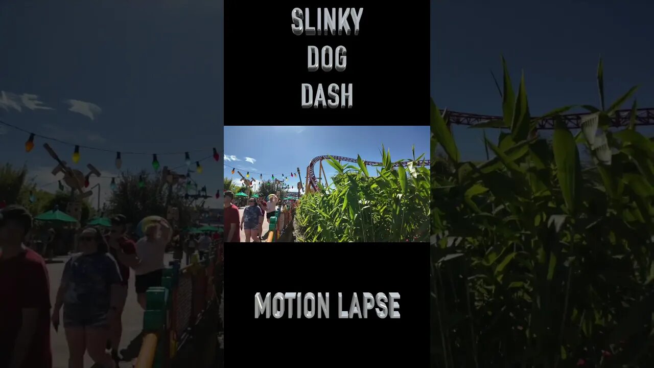 Slinky Dog Dash Motion Time Lapse Osmo Pocket 3