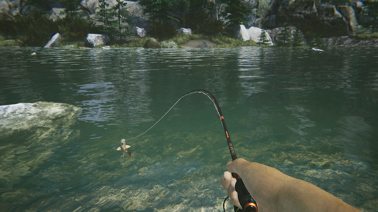 Fishing simulators . Games