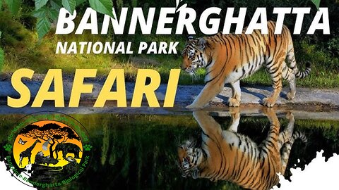 Bannerghatta national park