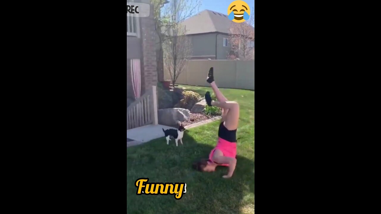 Funny video 🤣🤣