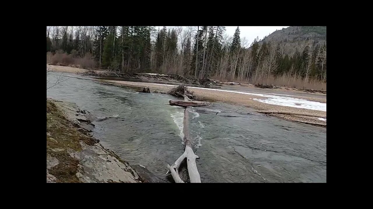 Granby River north of Grand Forks BC