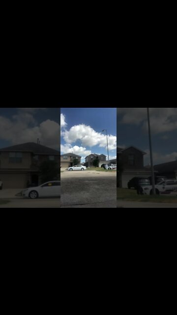 Any excuse to be in front of my house as long as possible