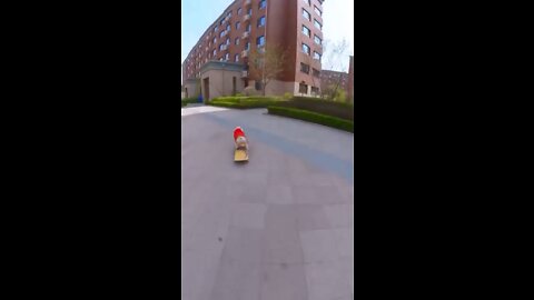 Skatedog 2