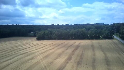 Corn Field drone footage