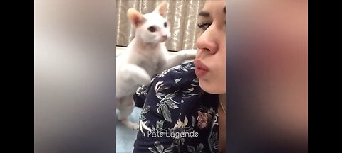Funnies animals