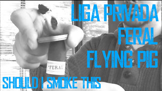 60 SECOND CIGAR REVIEW - Liga Privada Feral Flying Pig