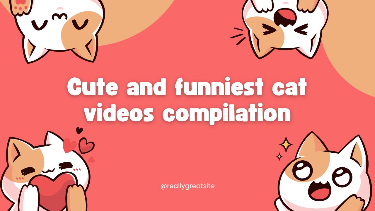 Best Funny Animal Videos 2022 - Funniest Cats And Dogs Video