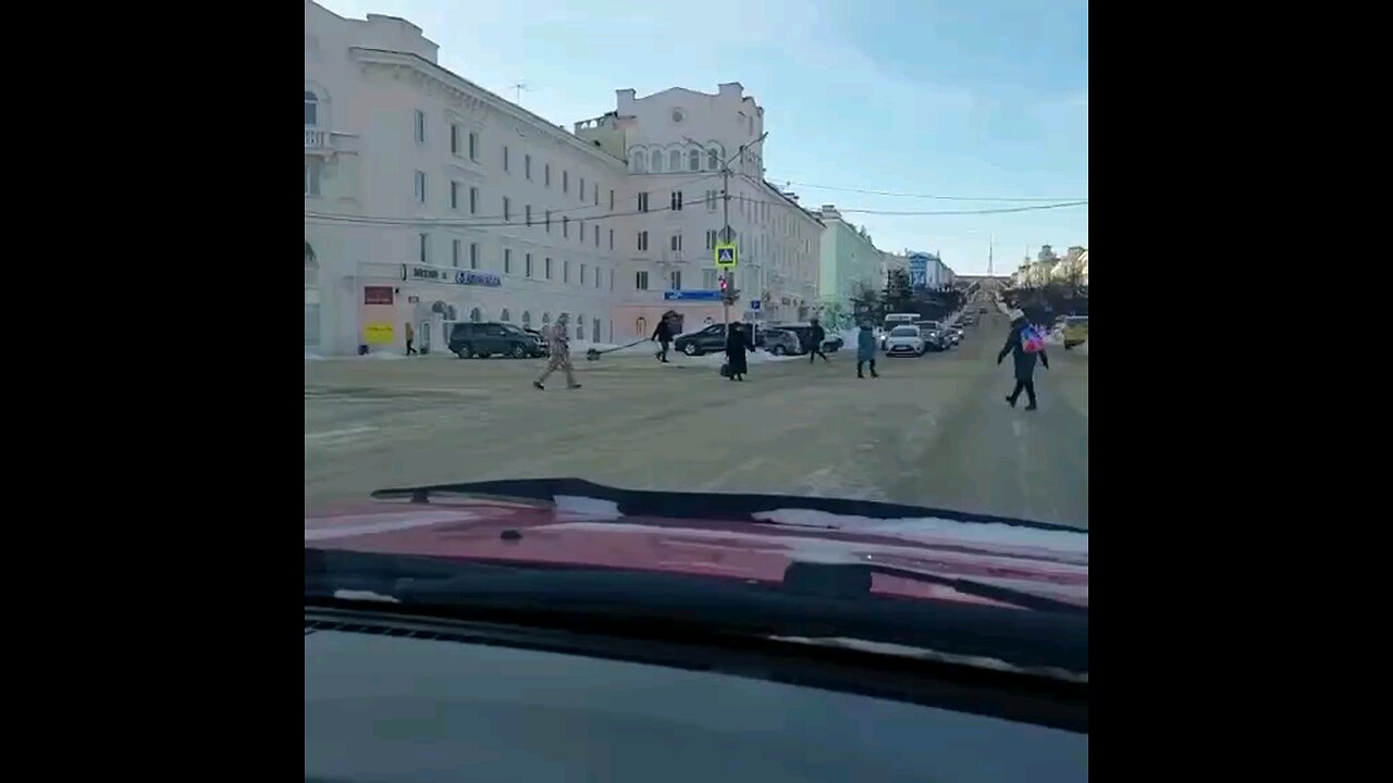 funny videos