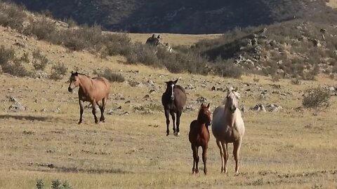 How The Other Half Lives