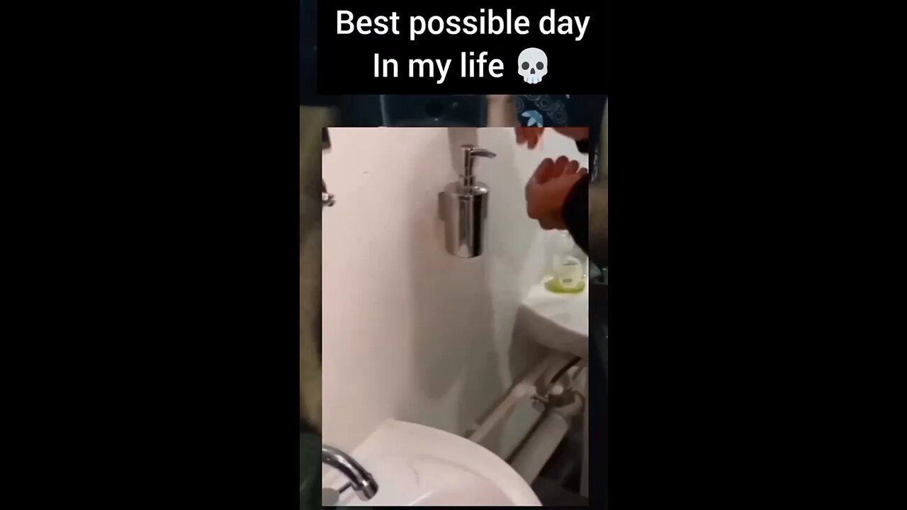 Best possible day in my life 💀