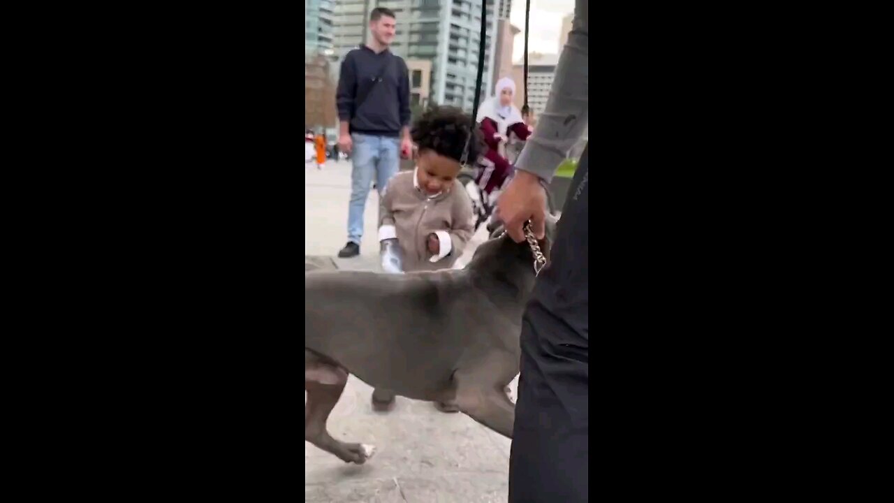 Boy hits pit bull in the head with water bottle