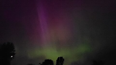 Fuzz Nuggest sleep through their 1st Aurora Borialis