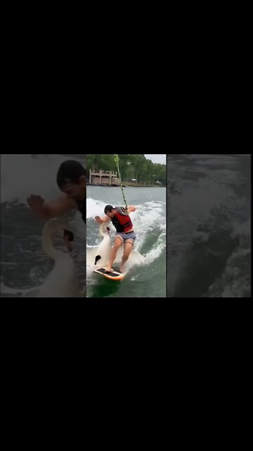 o ganso enviado pelo além 😂😂