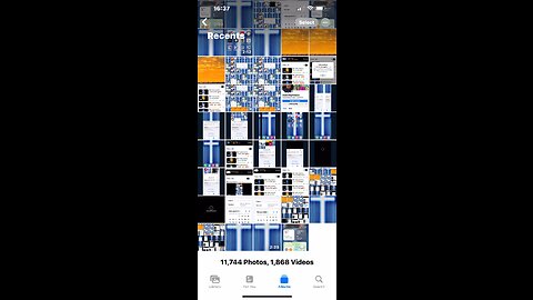 🎼❤️❤️🎶🦁🎶❤️❤️🎼