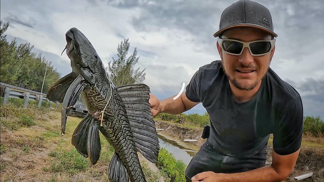 Hunting Dinosaur Fish in Florida - Bowfishing with Fishing Crossbow