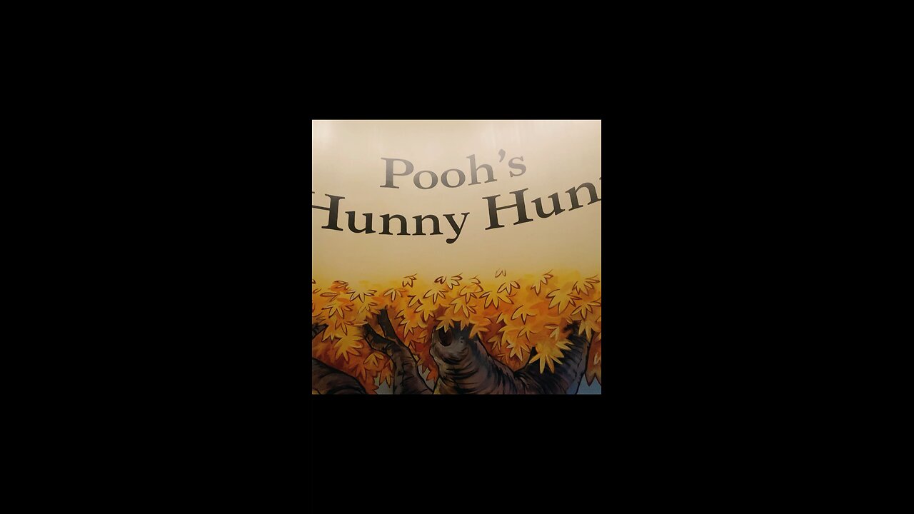 POOH'S HUNNY HUNT 😮🧸😍Amazing Ride プーさんのハニーハント