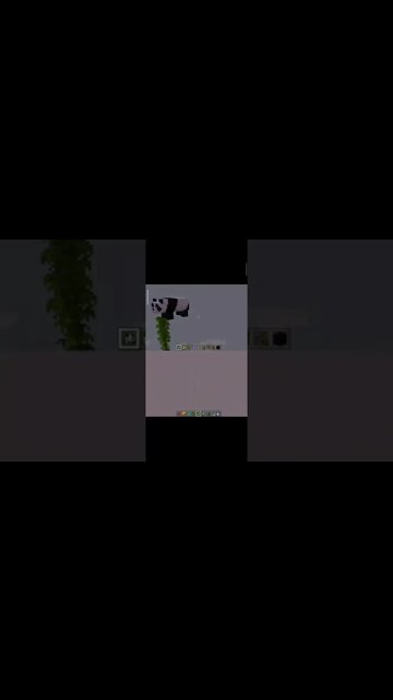 MINECRAFT TESTAMOS O EQUILÍBRIO DOS PANDAS #shorts #minecraft