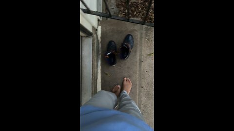 Mini Garden Woes