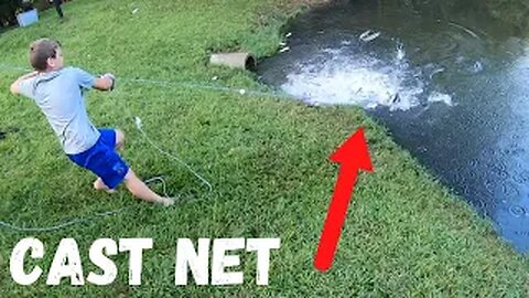 1000+ FISH CAUGHT WITH NET IN BACKYARD