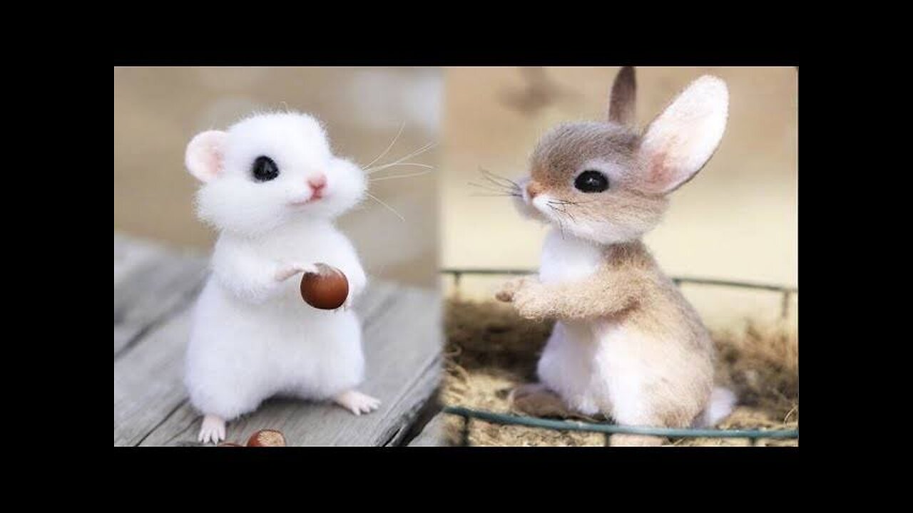 Cute baby animals compilation video cutes video on earth 🐶🐹